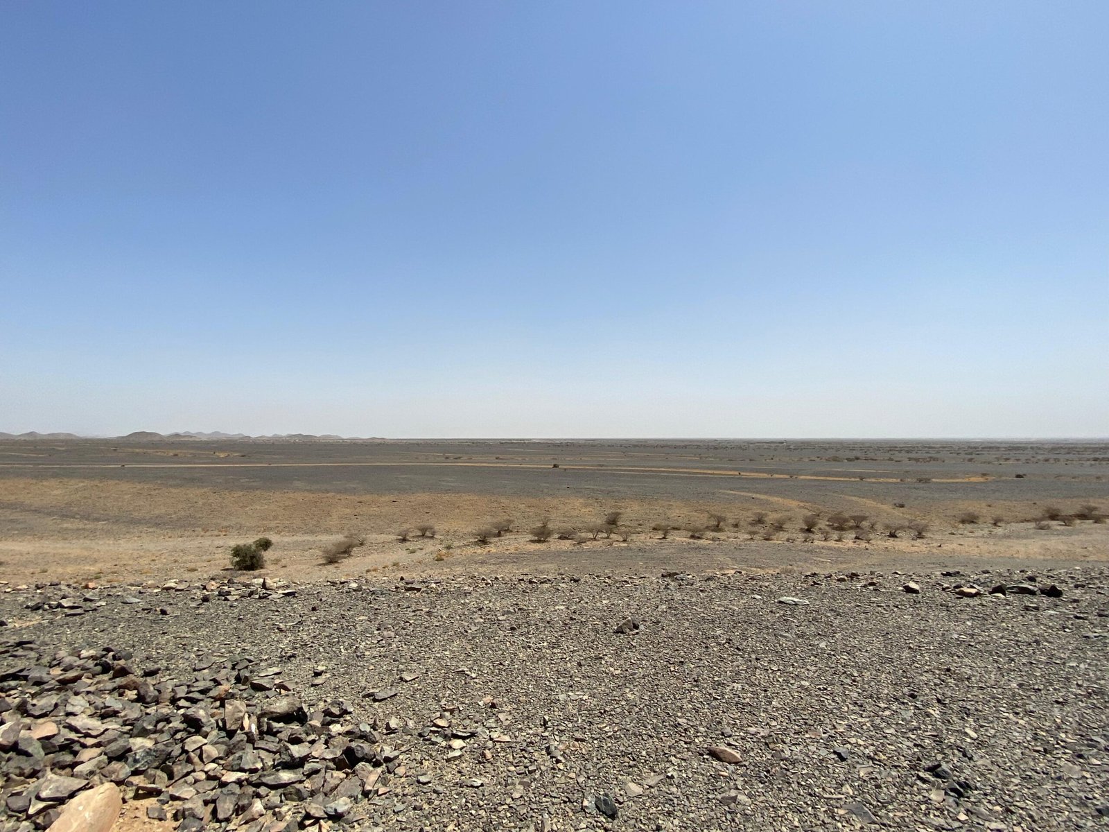 WhatsApp Image 2025-08-21 at 14.55.28_598ede6e