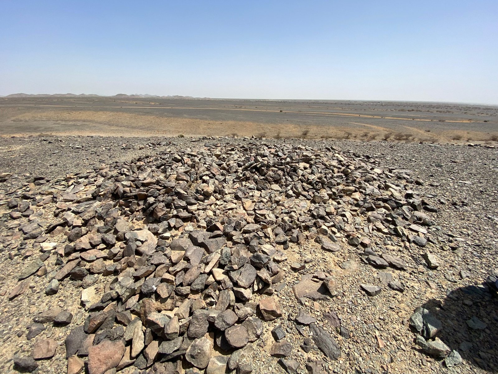 WhatsApp Image 2025-08-21 at 14.55.29_a40b0a73